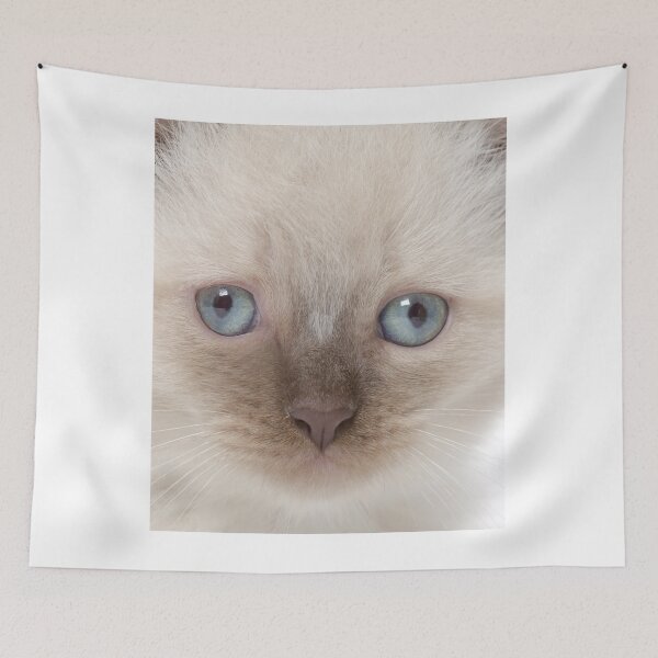 Item preview, Blue-eyed Kitten designed and sold by 3TFashion.