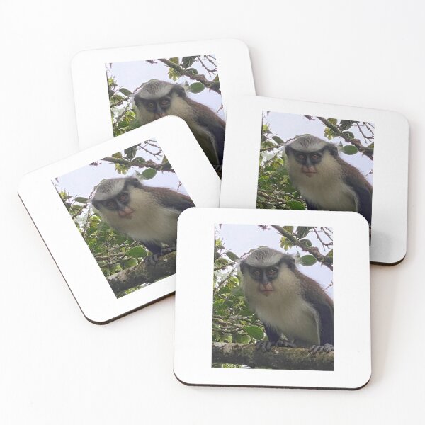 Item preview, Tropical wild life designed and sold by DesignbyGabbyGD.