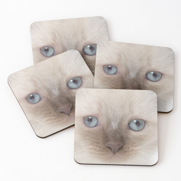 Item preview, Blue-eyed Kitten designed and sold by 3TFashion.