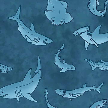Artwork thumbnail, Shark Week by RaspberryMoon