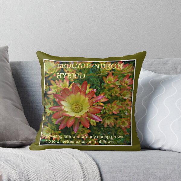 Item preview, SUNDANCE designed and sold by DMEIERS.