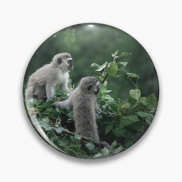 Item preview, Vervet Monkeys on The Lookout designed and sold by BlackRockStudio.
