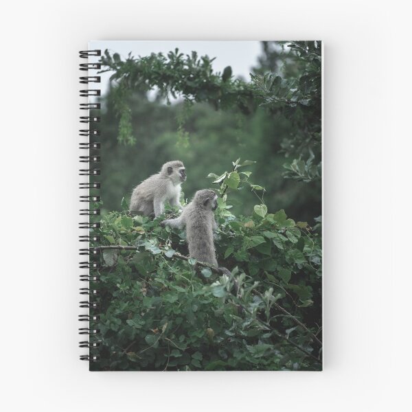 Item preview, Vervet Monkeys on The Lookout designed and sold by BlackRockStudio.