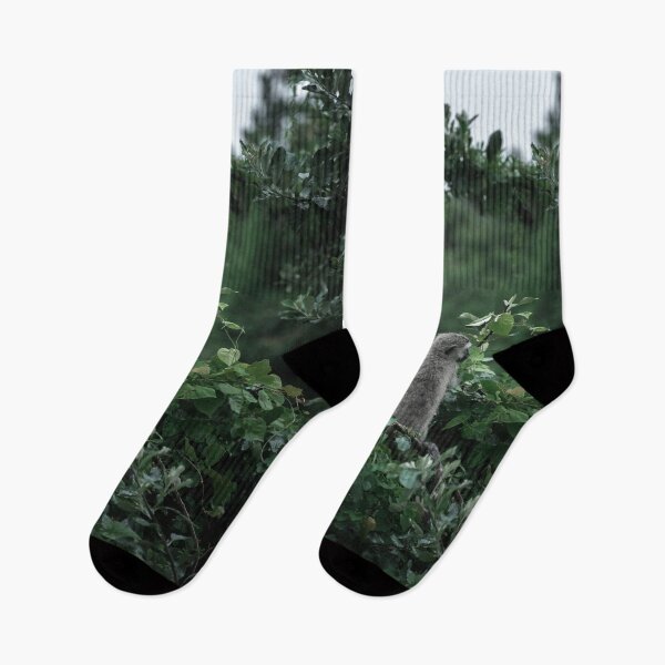 Item preview, Vervet Monkeys on The Lookout designed and sold by BlackRockStudio.