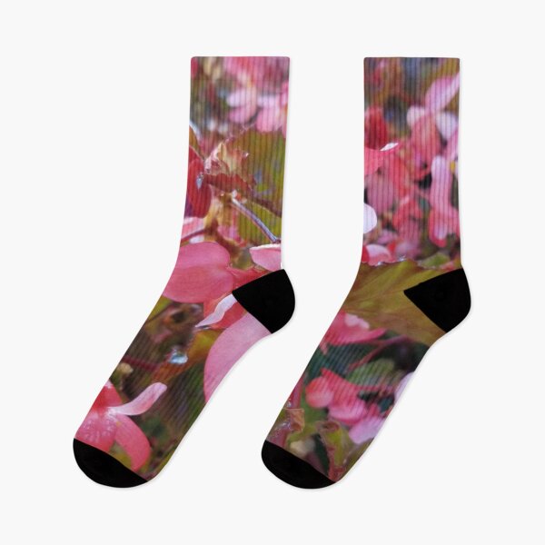 Item preview, Begonia  designed and sold by leafytrailshop.