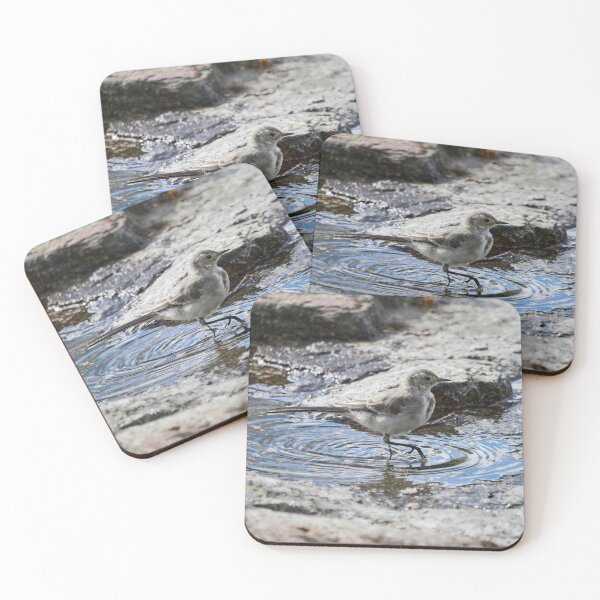 Item preview, Tip tip toe. White wagtail designed and sold by Jouko Lehto Photography.
