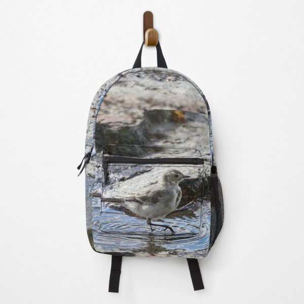 Item preview, Tip tip toe. White wagtail designed and sold by Jouko Lehto Photography.