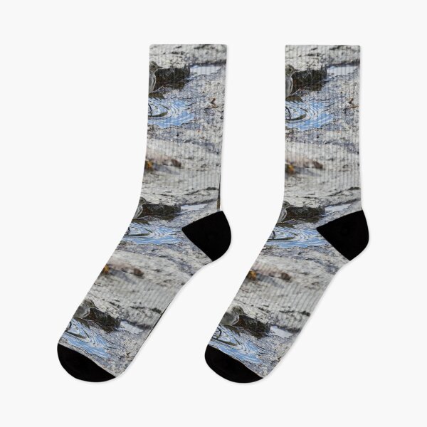 Item preview, Tip tip toe. White wagtail designed and sold by Jouko Lehto Photography.