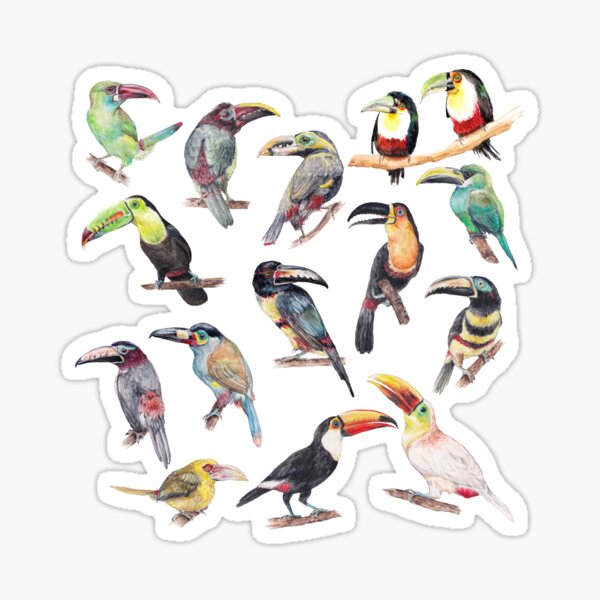 A Flock of Watercolor Toucans Sticker