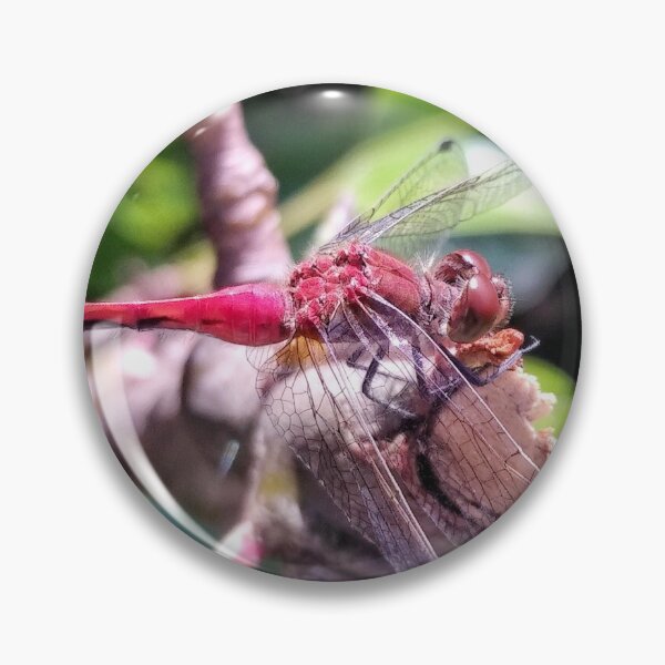 Item preview, O to Fly on Gossamer Wings designed and sold by Amber Graham (grahamedia).