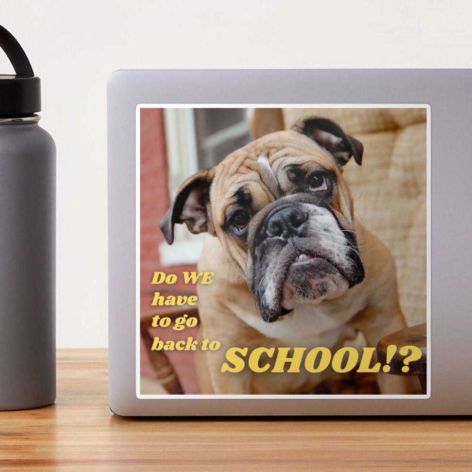 Back To School , Funny Crying Dog Memes Canvas Print for Sale by