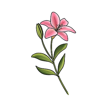 Artwork thumbnail, Pink Lily by Reeseworks