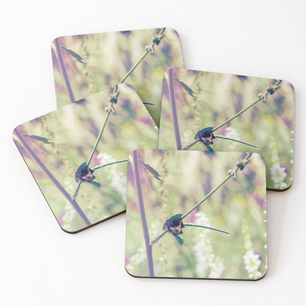 Item preview, Bee protecting itself from the rain illustration designed and sold by CanadianWild418.