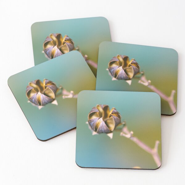 Item preview, Open seeds designed and sold by LaGalleria-BNS by Moses Benson Gallery.
