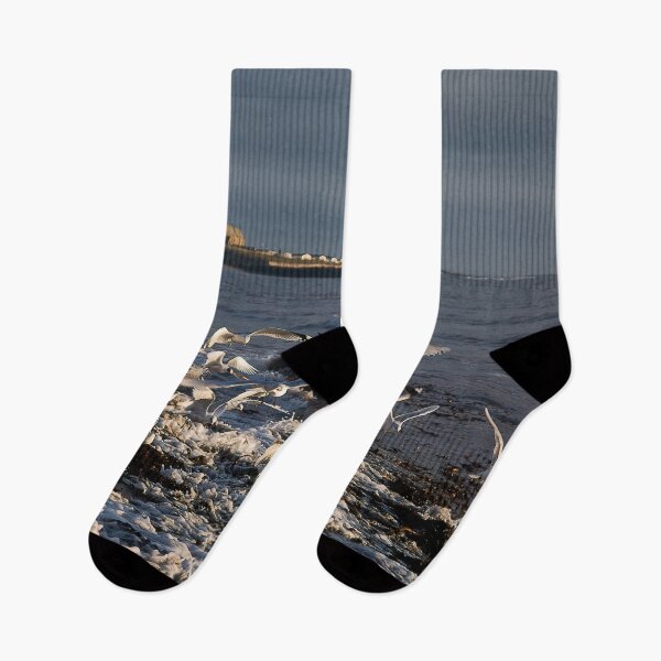 Item preview, Seagulls feeding amongst the kelp designed and sold by Violaman.
