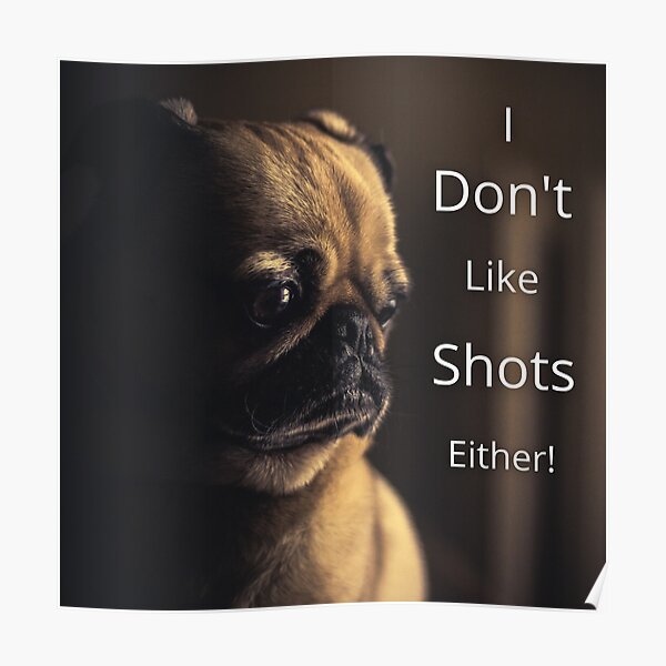 "Cute dog memes Doctor's office" Poster for Sale by TatersProducts