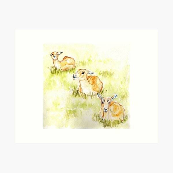 Deer Trio Art Print