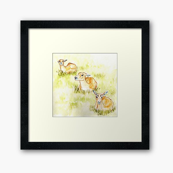 Deer Trio Framed Art Print