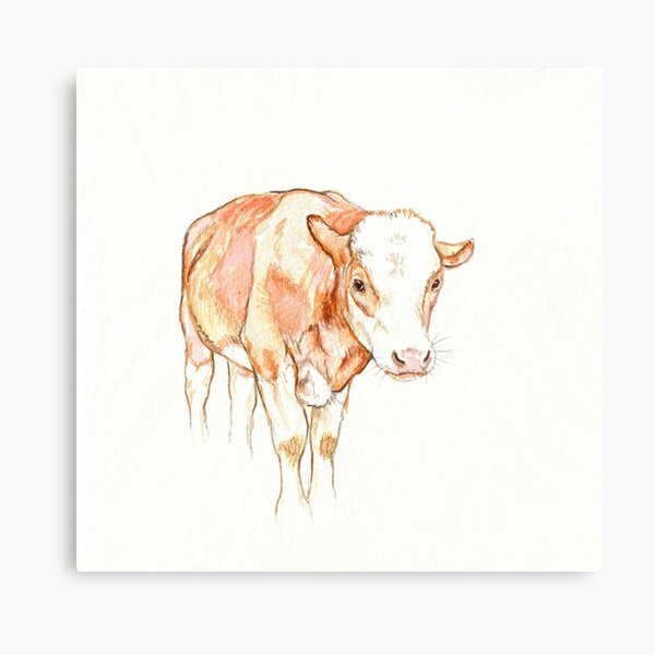 Brown Cow Metal Print
