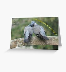 Cooing Woodpigeons Greeting Card