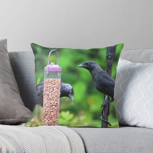 Item preview, Young jackdaws on bird feeder designed and sold by turniptowers.