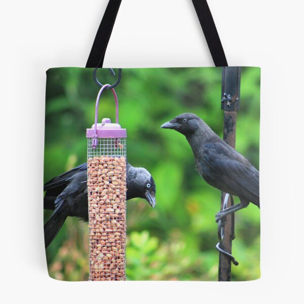 Item preview, Young jackdaws on bird feeder designed and sold by turniptowers.