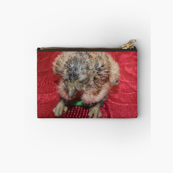 Item preview, Two Week Old Burrowing Owl designed and sold by AnnDixon.