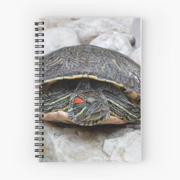 Item preview, Turtle face designed and sold by darsDesigns.