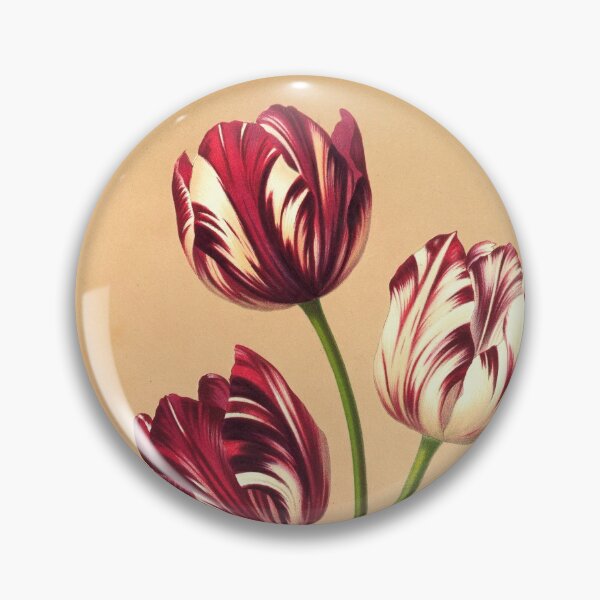 Item preview, Vintage Botanical Print: Late Tulips / Bybloemen or Violets from the Cooper Hewitt Museum designed and sold by Douglas E. Welch Design and Photography.