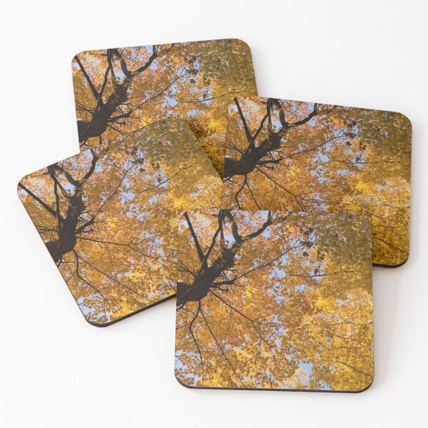 Item preview, Golden Canopy - Twisted Tree Trunk Horizontal designed and sold by Georgia Mizuleva.