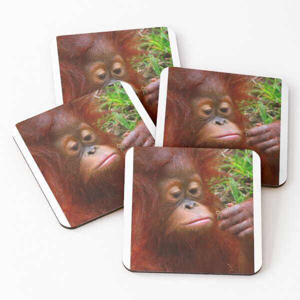 Item preview, Chimpanzee Looking At Food In Hand Cute Monkey  designed and sold by OceansSupply.