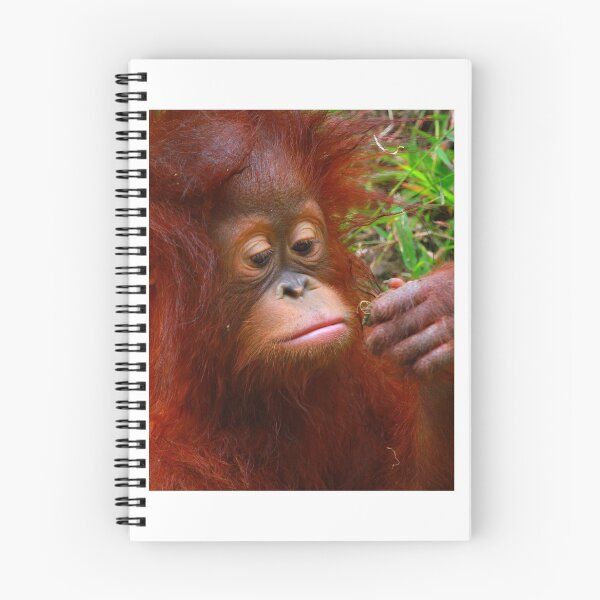 Item preview, Chimpanzee Looking At Food In Hand Cute Monkey  designed and sold by OceansSupply.