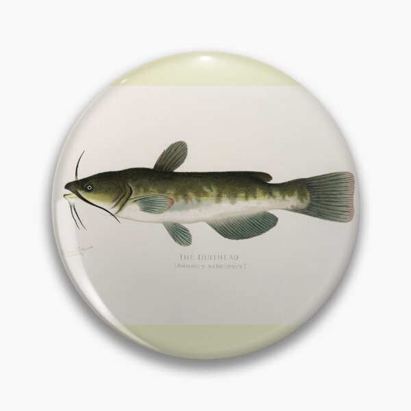 Item preview, Bull Head Catfish Lithograph Sherman F. Deaton designed and sold by GoldenDoodleDen.