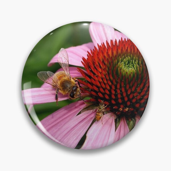 Pin Button
