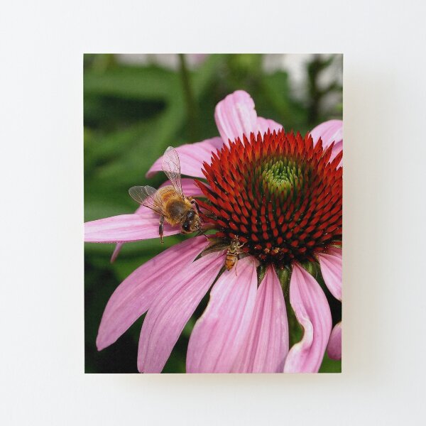 Wood Mounted Print