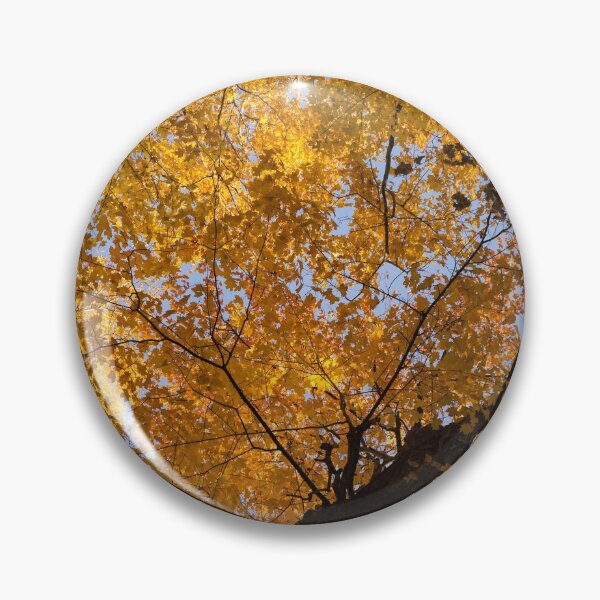 Item preview, Golden Canopy - Twisted Tree Trunk Vertical designed and sold by Georgia Mizuleva.