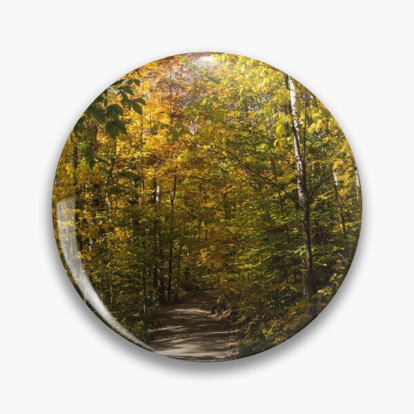 Item preview, Sun Dappled Autumn Path - Enjoying a Sunny Forest Walk designed and sold by Georgia Mizuleva.