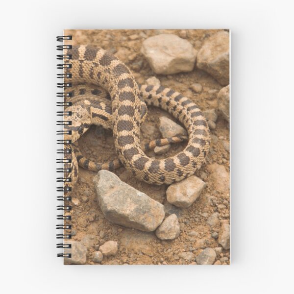 Item preview, Curled-Up ©  designed and sold by © Hany G. Jadaa © Prince John Photography.