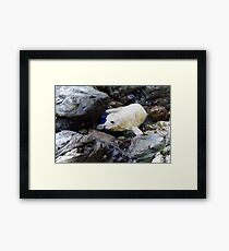 PUPPY LOVE Framed Print