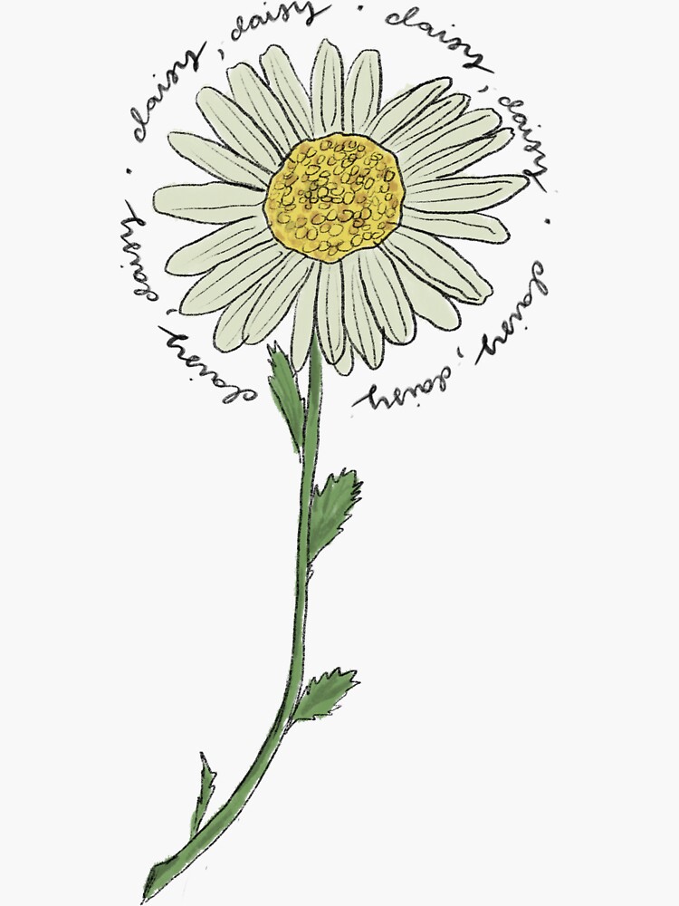 Thumbnail 3 of 3, Sticker, Daisy, Daisy designed and sold by laurynmmusic.