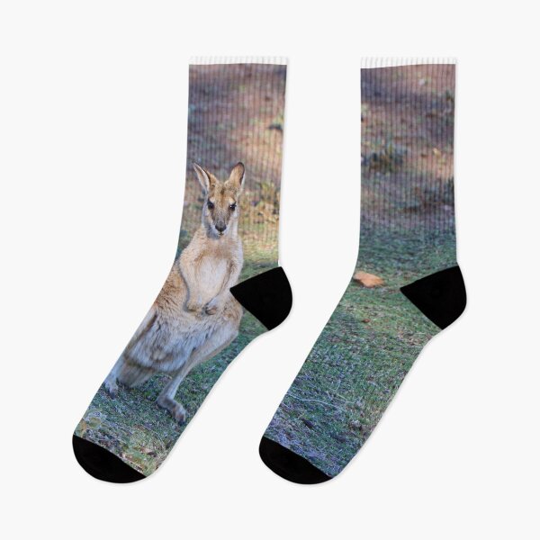 Item preview, Agile wallaby with joey, Western Australia designed and sold by FranWest.