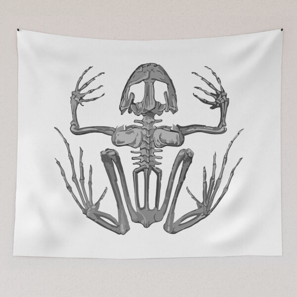 Item preview, Frog Skeleton designed and sold by llevine2934.