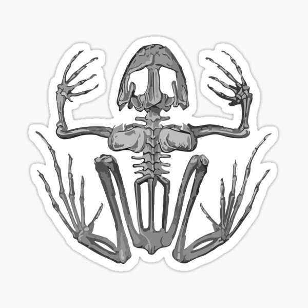 Item preview, Frog Skeleton designed and sold by llevine2934.