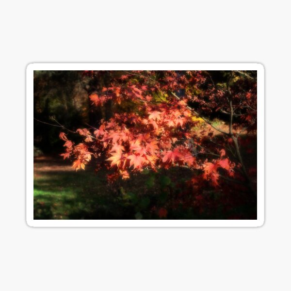 Autumn Sticker