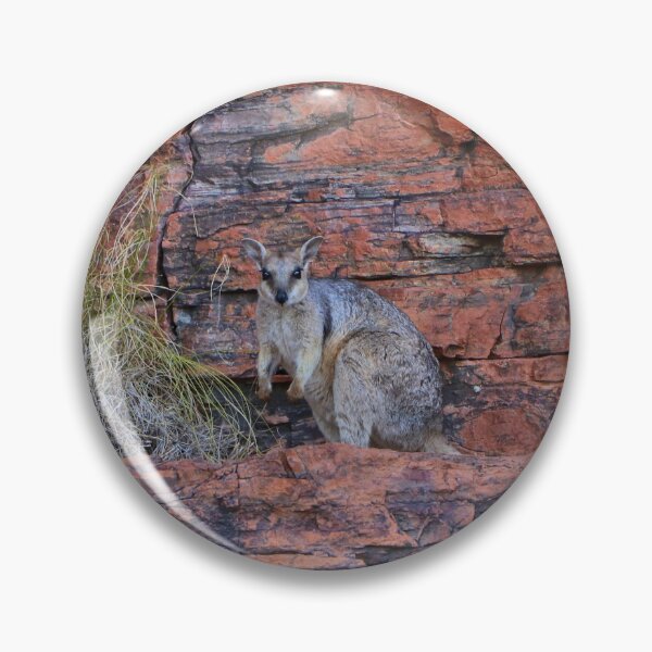 Item preview, Short-eared rock-wallaby, Western Australia designed and sold by FranWest.