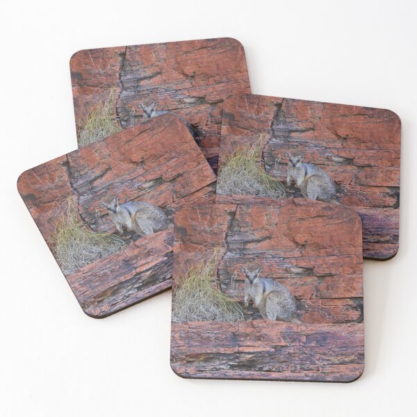 Item preview, Short-eared rock-wallaby, Western Australia designed and sold by FranWest.