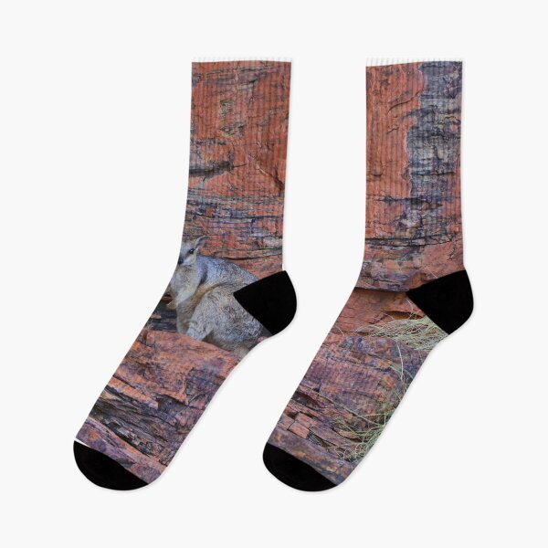 Item preview, Short-eared rock-wallaby, Western Australia designed and sold by FranWest.