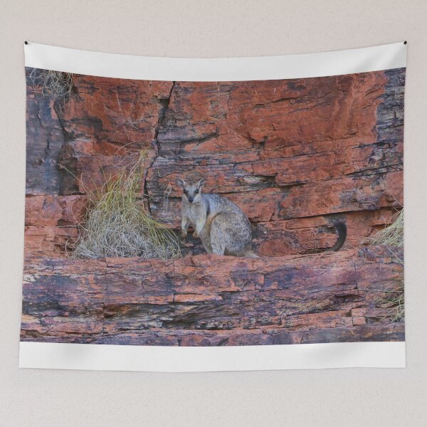 Item preview, Short-eared rock-wallaby, Western Australia designed and sold by FranWest.