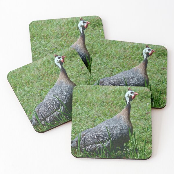 Item preview, Guinea hen designed and sold by chstudios.