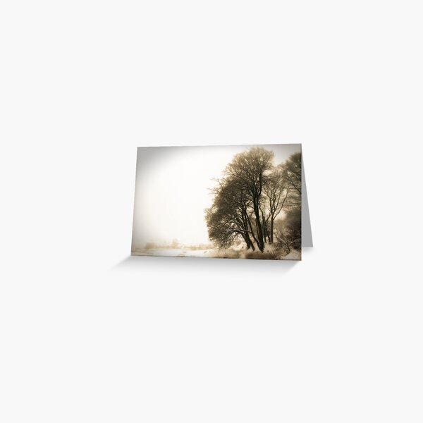 Winter 09 Greeting Card
